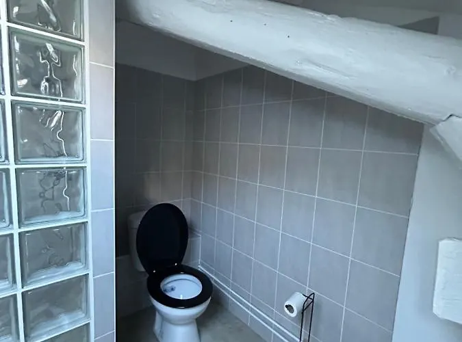 Le Petit Charles Szálloda Nancy